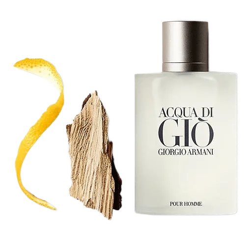 Giorgio Armani Acqua di Giò Eau de Toilette (bianco) 100ml (Tester) in Taglia 100ml